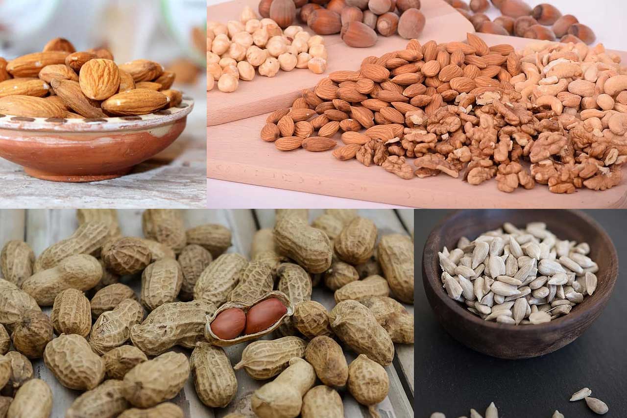 nueces y semillas alimentos con vitamina E