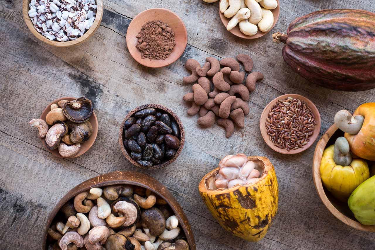 diversas presentaciones del cacao en semillas